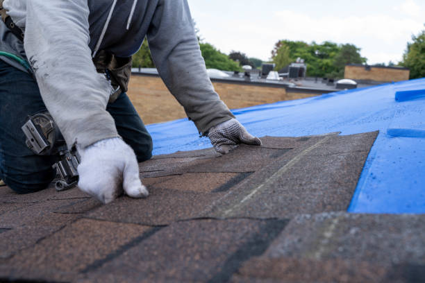 Professional  Roofing repair and installation in La Vale, MD